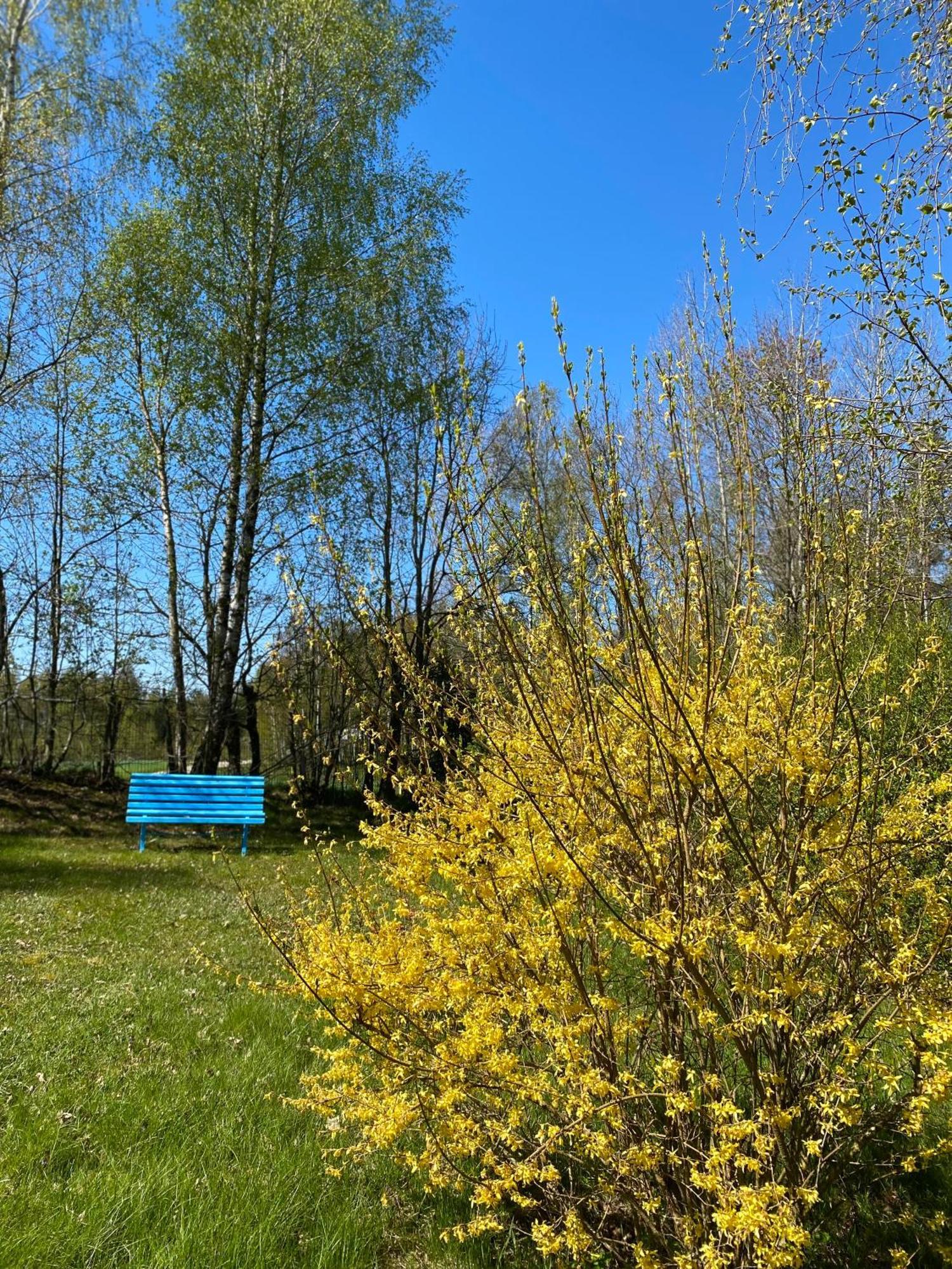Sznureczki Domek letniskowy